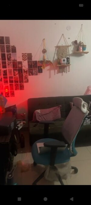 1 BHK Apartment For Rent in AVL 36 Gurgaon, Sector 36