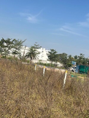 Plot Area in  Plot at Taramatipet – for Sale