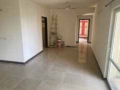 3 BHK Apartment For Rent in BPTP The Resort