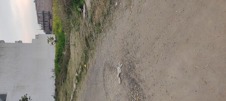 undefined, altus-prime  95 Sq.Yd. Plot In North Mullanpur Chandigarh 10229070