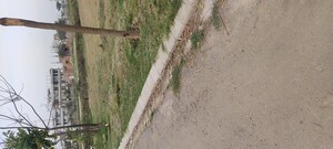 Plot Area in  Plot at Altus Prime, North Mullanpur – for Sale