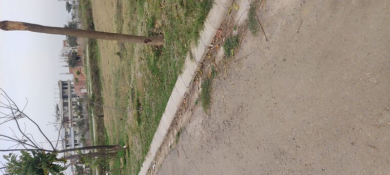 undefined, altus-prime  95 Sq.Yd. Plot In North Mullanpur Chandigarh 10229148