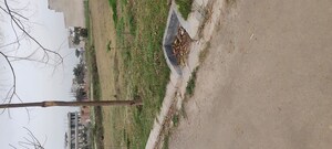 Plot Area in  Plot at Altus Prime, North Mullanpur – for Sale