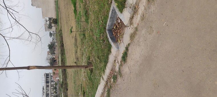 undefined, altus-prime  95 Sq.Yd. Plot In North Mullanpur Chandigarh 10229148