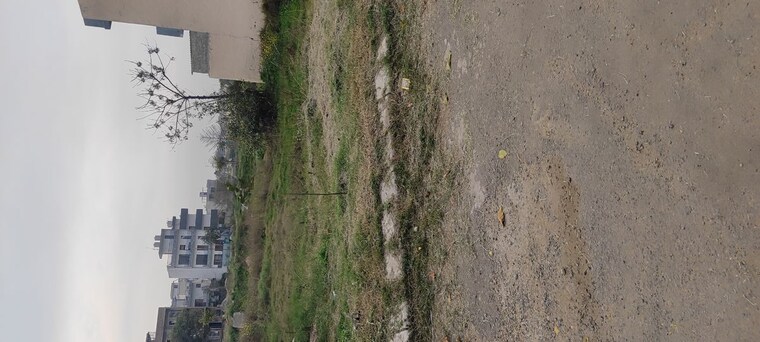 Garden, altus-prime  95 Sq.Yd. Plot In North Mullanpur Chandigarh 10229148