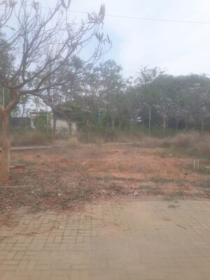 Plot Area in  Plot at Dhammanagi Florence, Shettigere – for Sale