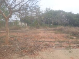  Plot For Sale in Dhammanagi Florence, Shettigere