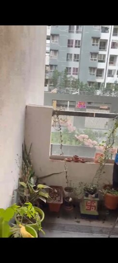 2 BHK + Pooja Room,Servant Room,Study Room,Extra Room,Basement,Store Room Apartment For Rent in Highpoint ITrend Homes Phase 2