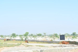 Plot Area in  Plot at Sector 18 Wave City – for Sale