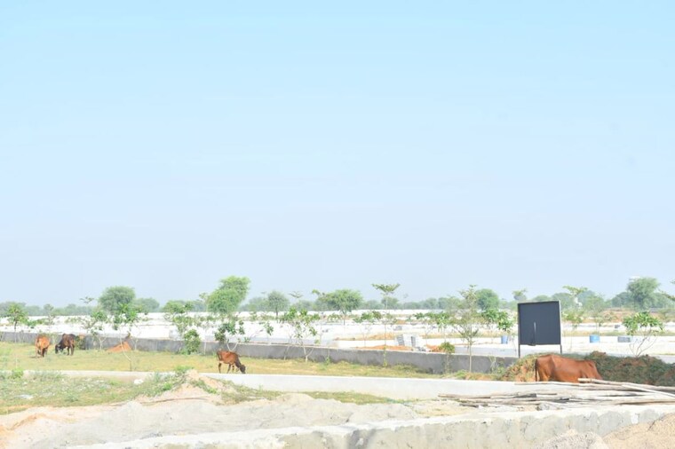 undefined, sector 18 wave city  1955 Sq.Ft. Plot In Sector 18 Wave City Ghaziabad 10230217