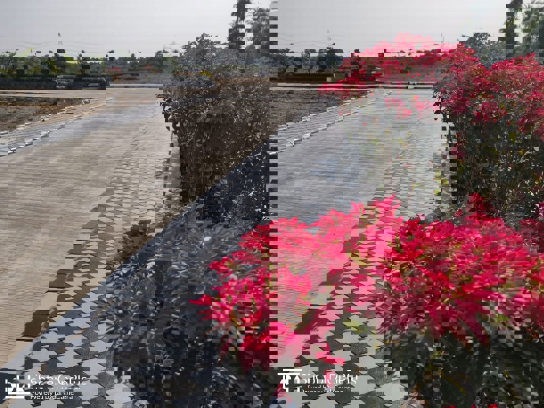   Plot at Mullanpur – for Sale