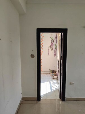 Room in 2 BHK Apartment at Amrapali Zodiac, Sector 120 – for Rent
