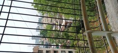 2 BHK Apartment For Rent in Pooja Sankul Apartment