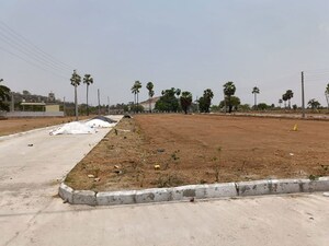 Plot Area in  Plot at Kothapalle – for Sale