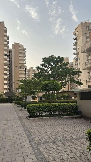 3 BHK Apartment For Rent in Sushma Chandigarh Grande, Lohgarh