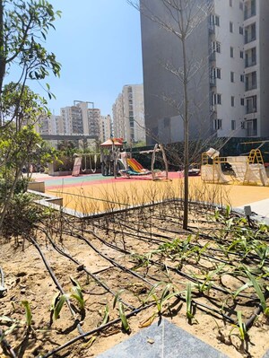 Balcony in 3 BHK Apartment at Bestech Park View Ananda, Sector 81 – for Rent