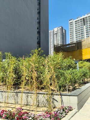 2 BHK Builder Floor – Exterior View View at Signature Global City 81, Sector 81 - for Rent