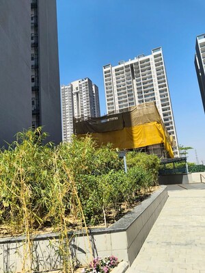 2 BHK Builder Floor – Exterior View View at Signature Global City 81, Sector 81 - for Rent