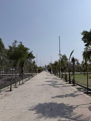  Plot For Sale in Biharigarh