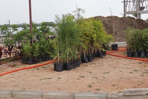 Plot Area in  Plot at Shadnagar – for Sale