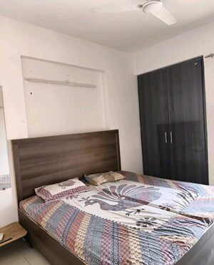 2 BHK Apartment For Rent in Wave Dream Homes, Wave City