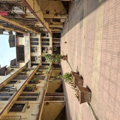 1 BHK Apartment For Rent in Ghansoli Sector 1