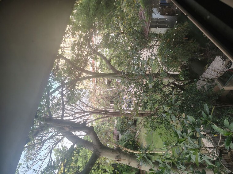 Garden, vipul-tatvam-villas 3.5 Bedroom 290 Sq.Yd. Villa In Sector 48 Gurgaon 10232876