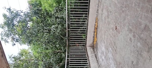 Balcony in 2.5 BHK Apartment at Sarita Vihar – for Rent