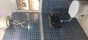 Bathroom in 2.5 BHK Apartment at Sarita Vihar – for Rent