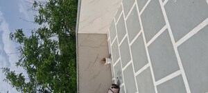 Balcony in 1 RK Apartment at Sarita Vihar – for Rent