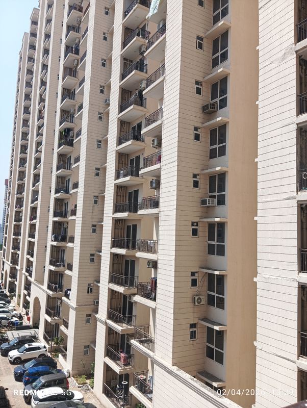 2 BHK + Pooja Room Apartment For Rent in Signature Global Prime