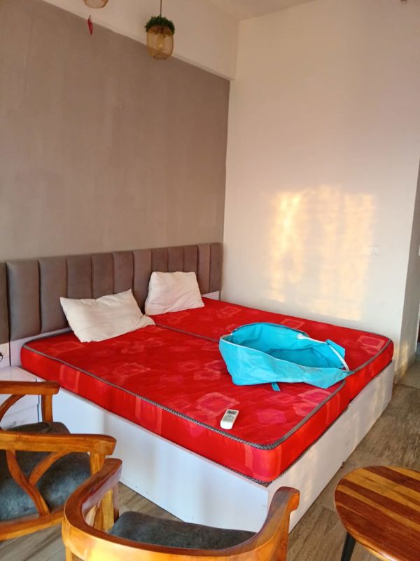 1 BHK 435 Sq.Ft. Apartment in Paramount Golfforeste