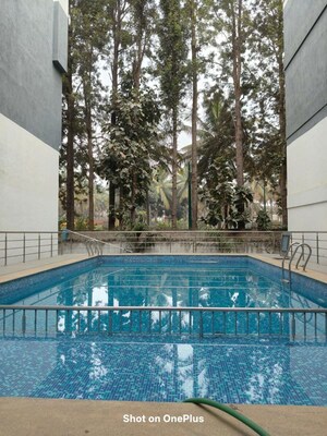 Swimming Pool in 3 BHK Apartment at ADIs North Lake, Agrahara – for Rent