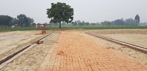 Plot Area in  Plot at Noorpur Bhadarsa – for Sale