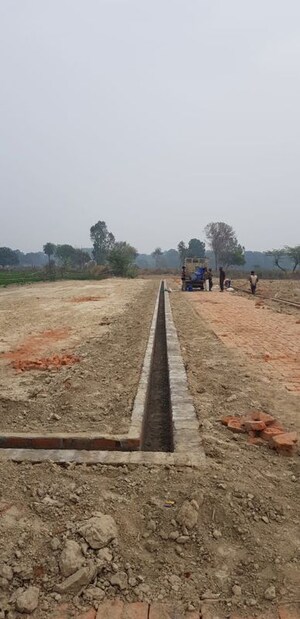 Plot Area in  Plot at Noorpur Bhadarsa – for Sale