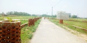 Plot Area in  Plot at Noorpur Bhadarsa – for Sale