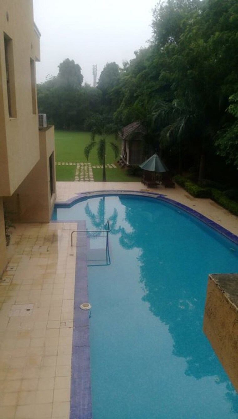 Swimming Pool, chattarpur 5 Bedroom 4800 Sq.Ft. Villa In Chattarpur Delhi 10175398
