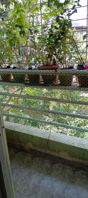 1 BHK Builder Floor – Garden View at Sainath Nagar - for Rent