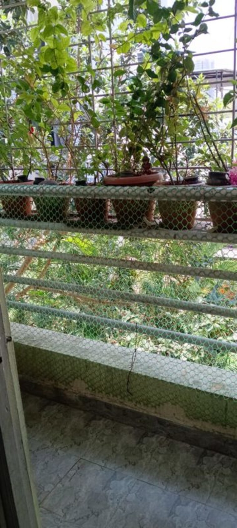 Garden, sainath nagar 1 Bedroom 400 Sq.Ft. Builder Floor In Sainath Nagar Pune 10233687