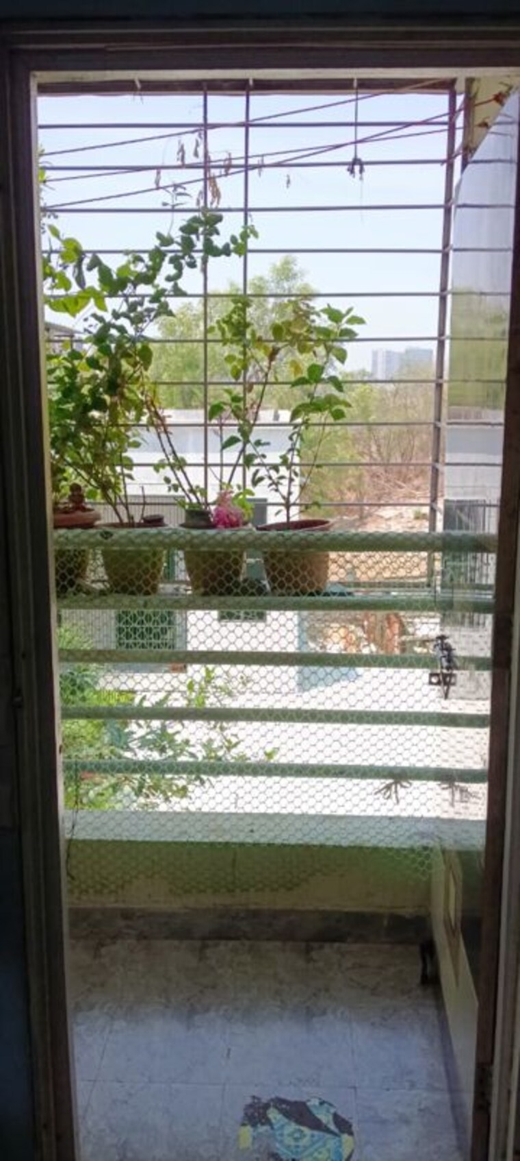 Balcony, sainath nagar 1 Bedroom 400 Sq.Ft. Builder Floor In Sainath Nagar Pune 10233687