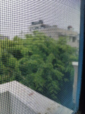 Bathroom in 4 BHK Builder Floor at Jasola – for Sale