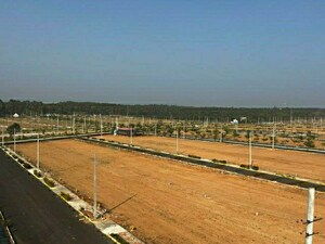  Plot For Sale in Vijay Nagar