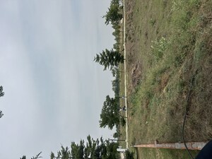  Plot – Garden View at Adore Smart City, Sector 97 - for Sale