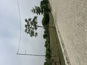   Plot at Adore Smart City, Sector 97 – for Sale