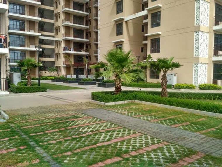 Garden, signature-global-synera 1 Bedroom 455 Sq.Ft. Apartment In Sector 81 Gurgaon 10233835