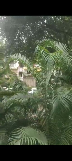 3.5 BHK Apartment For Sale in Vasant Kunj