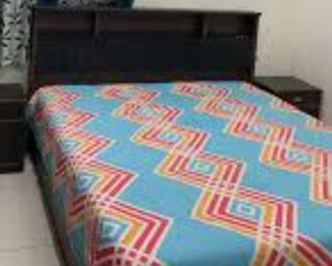  Pg For Rent in Gomti Nagar