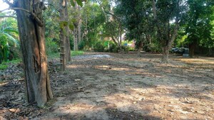  Plot For Sale in Kumarpara