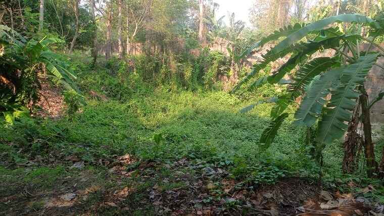 Garden, kumarpara  40000 Sq.Ft. Plot In Kumarpara Kolkata 10220150