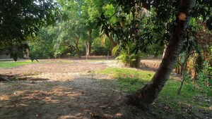 Plot Area in  Plot at Kumarpara – for Sale